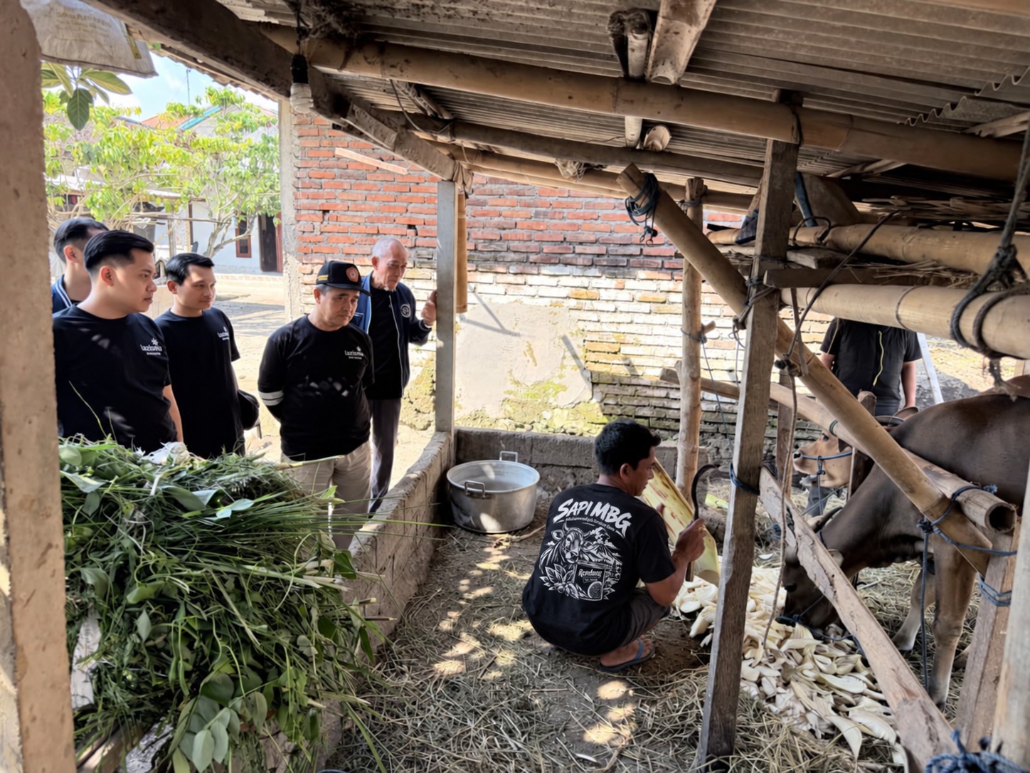 Bukan Sekadar Rendang, RendangMU Berdayakan Peternak Sapi MBG Karangasem